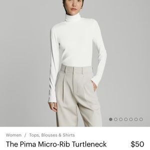 Everlane The Pima Micro-Rib Turtleneck (white)